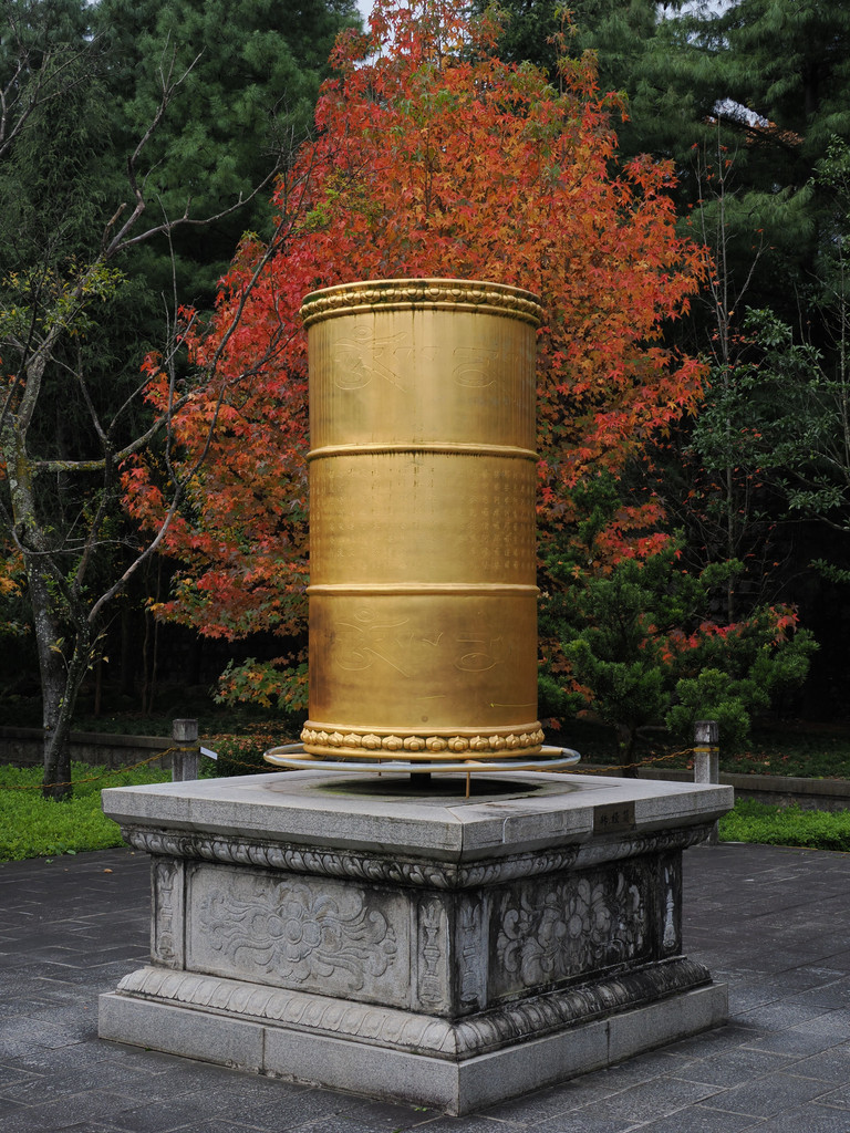 Sanwenbi, Yunnan, Chine. 9 novembre 2025, 10:35.© Tobias Bührer 2025