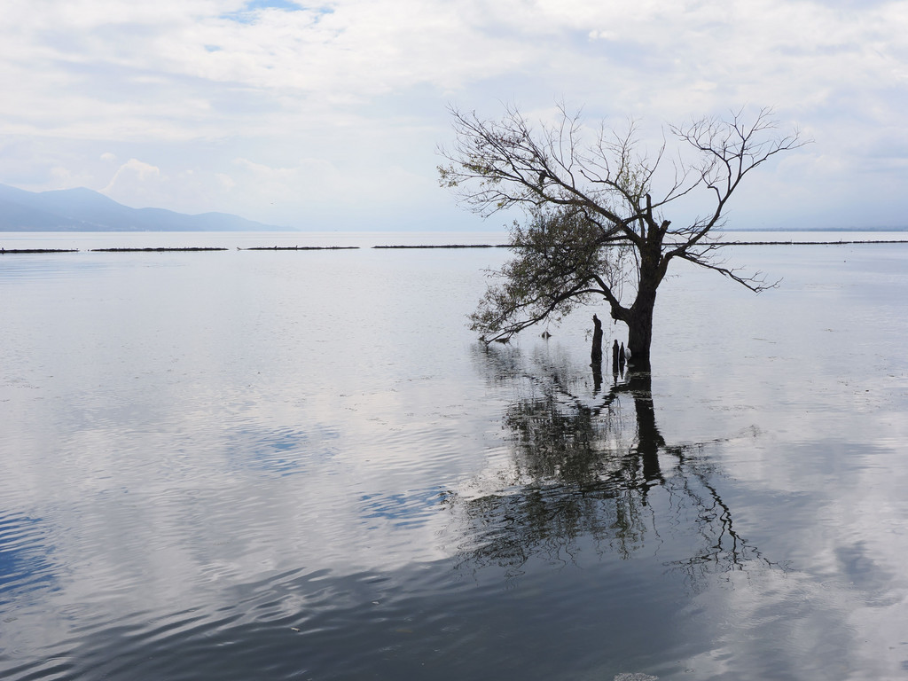 Gusheng, Yunnan, Chine. 9 novembre 2025, 11:58.© Tobias Bührer 2025