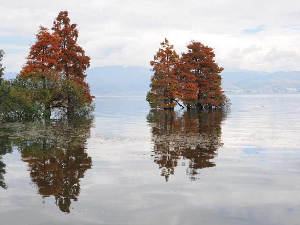 Xiangyangxi, Yunnan, Chine. 9 novembre 2025, 12:09.© Tobias Bührer 2025